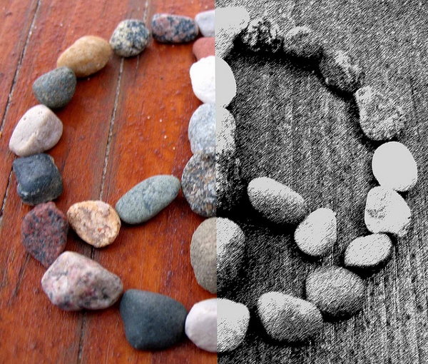 World Peace Day 1 (24)