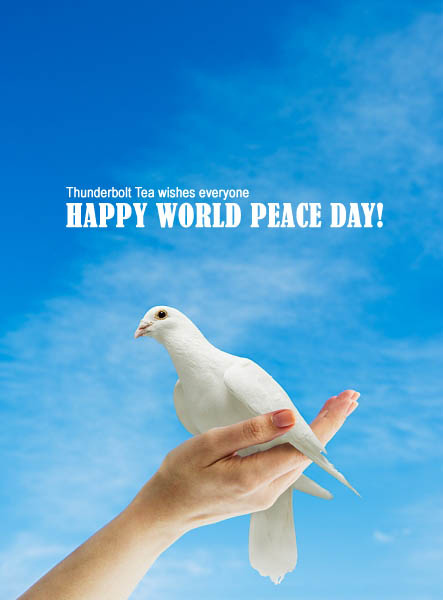 World Peace Day 1 (27)