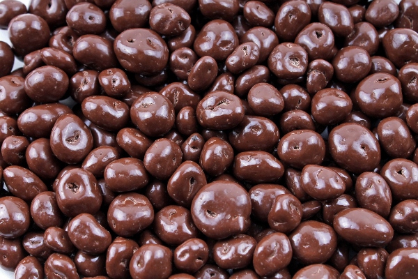 Chocolate Covered Anything Day (5)