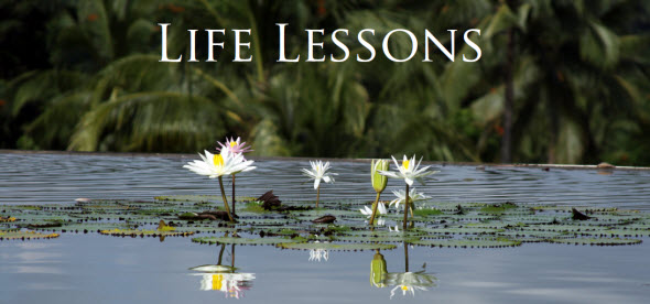 Lessons From Life