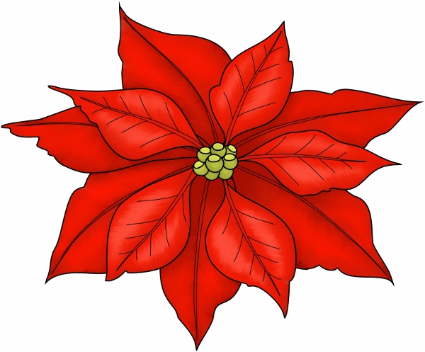 Poinsettia Day (18)