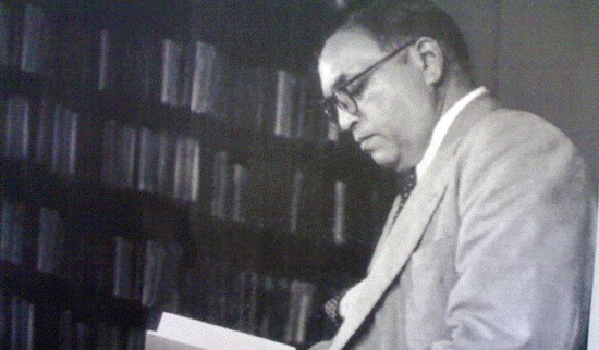 ambedkar (13)