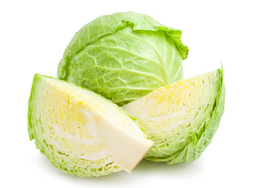 Lose Weight Food- Cabbage
