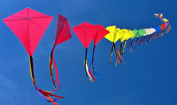 Happy Makar Sankranti 2015 Wallpapers (19)