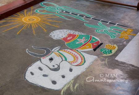 Happy Mattu Pongal Images (1)