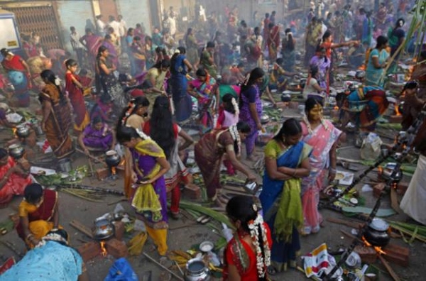 Happy Mattu Pongal Images (4)