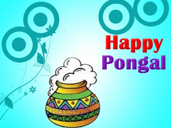 Happy Pongal  (2)