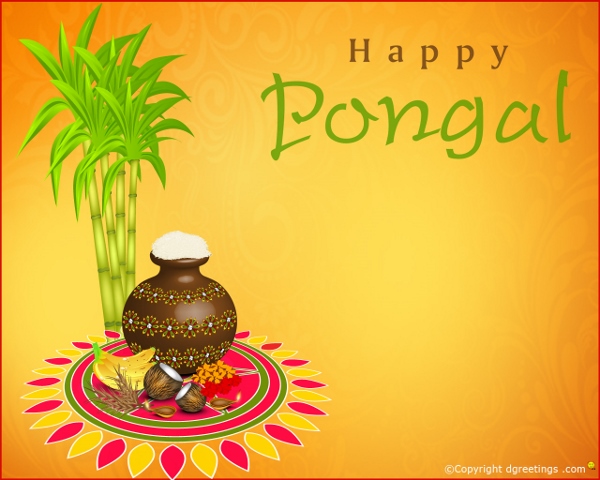 Happy Pongal  (5)