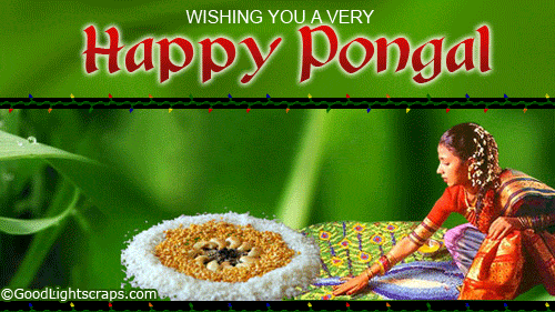 Happy Pongal Wallpapers (10)