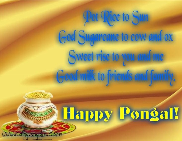Happy Pongal Wallpapers (10)