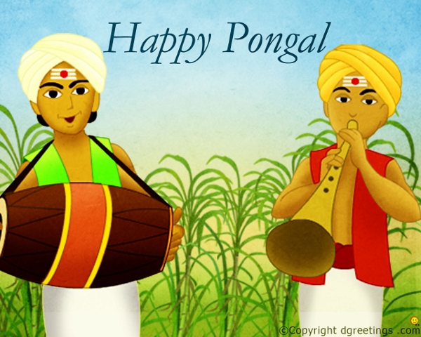 Happy Pongal Wallpapers  (11)
