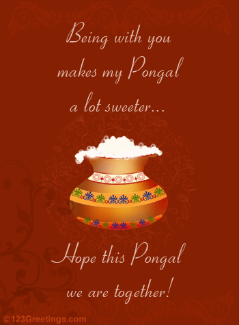 Happy Pongal Wallpapers  (2)