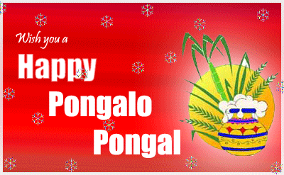 Happy Pongal Wallpapers  (6)