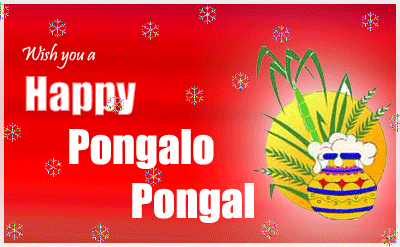 Happy Pongal Wallpapers (6)