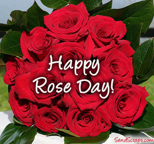 Happy Rose Day 2015 Images  (1)