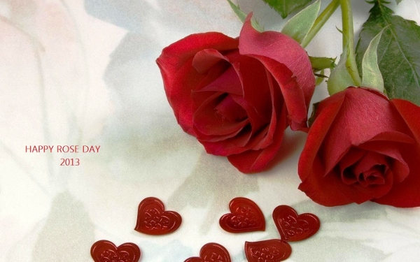 Happy Rose Day 2015 Images (15)