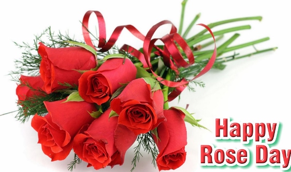 Happy Rose Day 2015 Images (17)