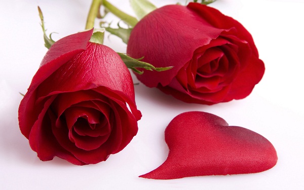 Happy Rose Day 2015 Images (2)