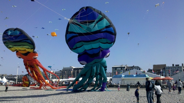 Happy Uttarayan 2015 Images (26)