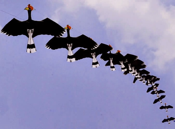 Happy Uttarayan 2015 Images (27)