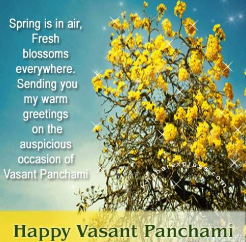 Happy Vasant Panchami 2015 Images  (20)