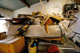 Pack Rat Day Photos (12)