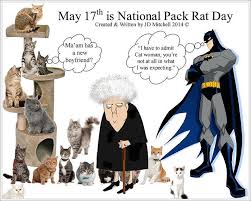 Pack Rat Day Photos (7)