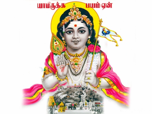 Skanda Sashti Photos (10)