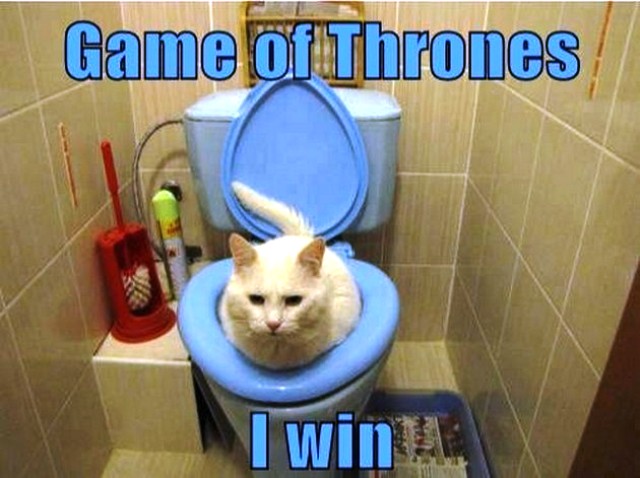 Game of Thrones Funny Memes (5)