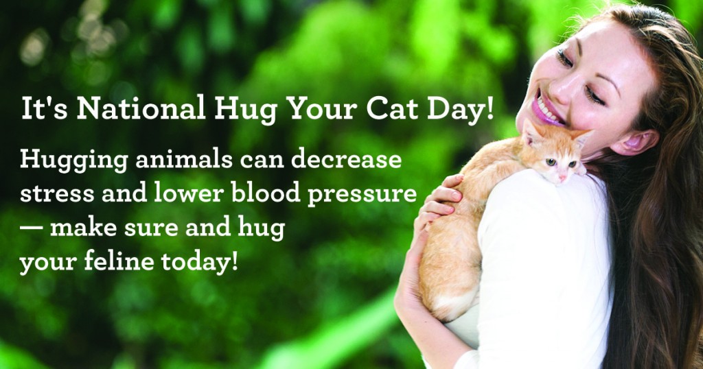 Hug your Cat Day