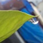 Profile picture of Yogesh Yadav